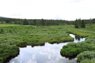 IMG_0535.JPG