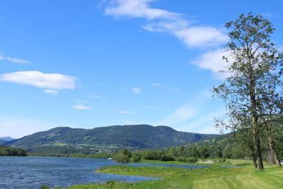 IMG_0586.JPG