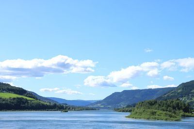 IMG_0590.JPG