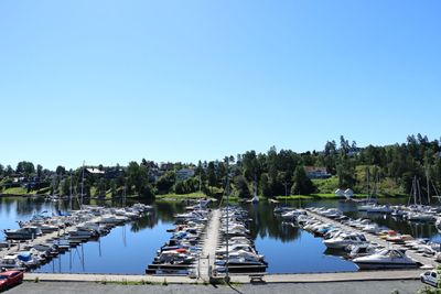 IMG_0728.JPG
