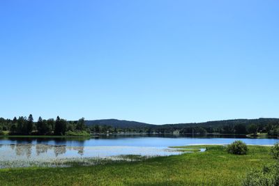 IMG_0731.JPG