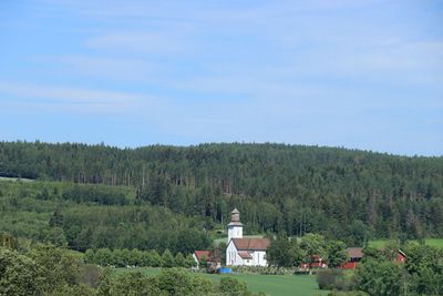 IMG_0743.JPG
