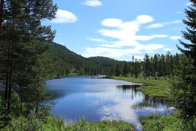 IMG_0747.JPG