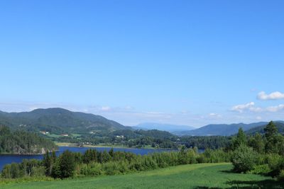 IMG_0792.JPG