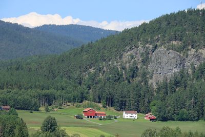 IMG_0793.JPG