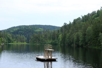 IMG_0803.JPG