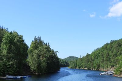 IMG_0850.JPG