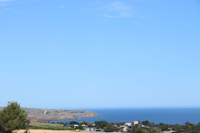 IMG_4605.JPG