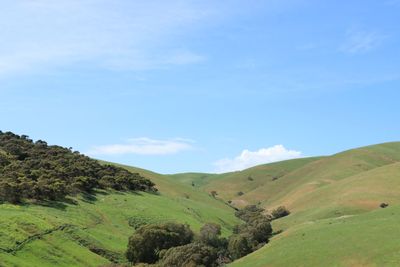 IMG_4607.JPG