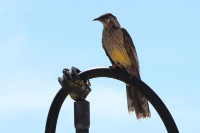 IMG_4646.JPG