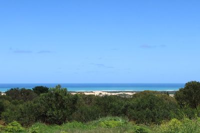 IMG_5320.JPG