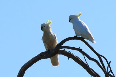 IMG_5402.JPG