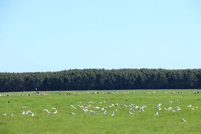 IMG_5405.JPG