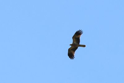 IMG_5411.JPG