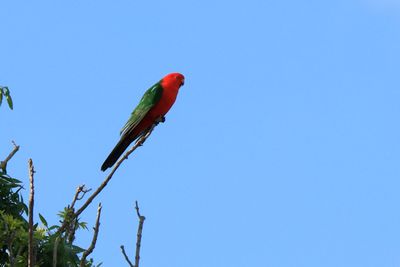 IMG_6299.JPG