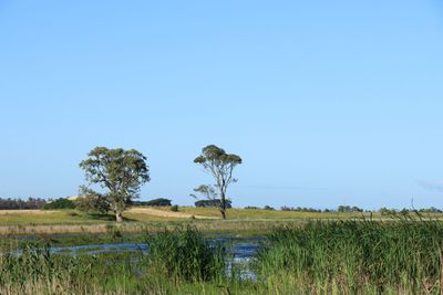 IMG_6335.JPG