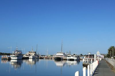 IMG_6381.JPG