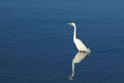 IMG_6384.JPG