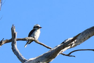 IMG_6399.JPG