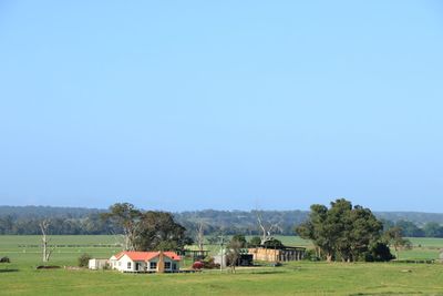 IMG_6430.JPG