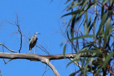 IMG_6452.JPG