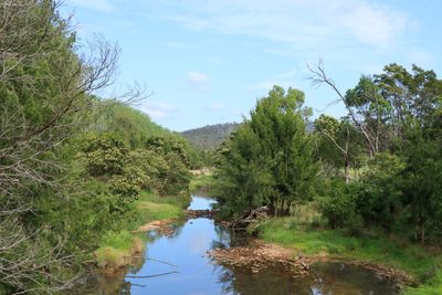 IMG_6475.JPG