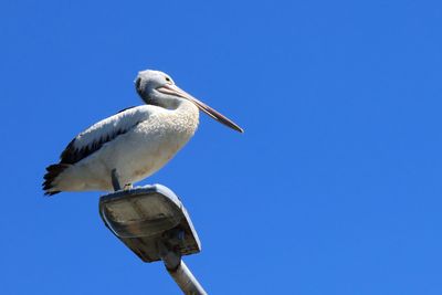 IMG_7062.JPG