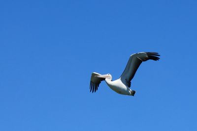 IMG_7067.JPG