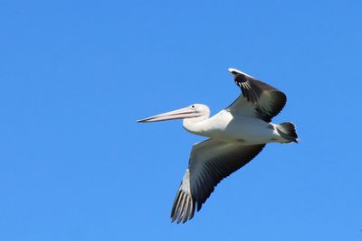IMG_7068.JPG