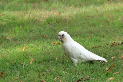 IMG_7082.JPG