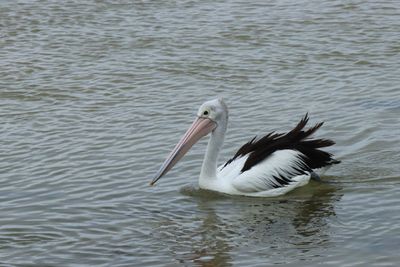 IMG_7352.JPG