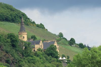 IMG_3173.JPG