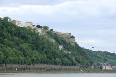 IMG_3196.JPG