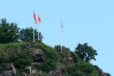 IMG_3234.JPG