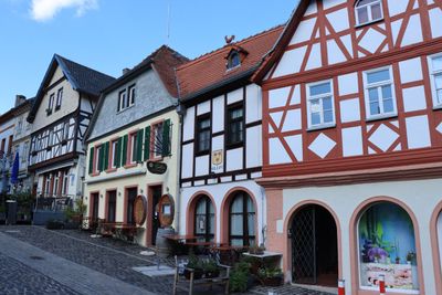 IMG_3265.JPG