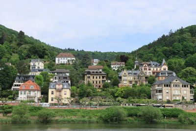 IMG_3330.JPG
