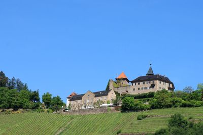 IMG_3399.JPG