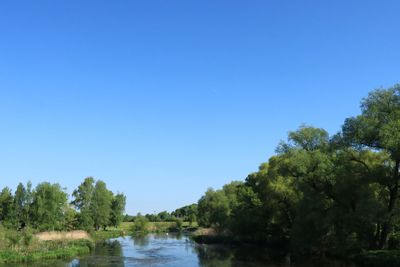 IMG_3435.JPG