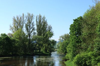 IMG_3437.JPG