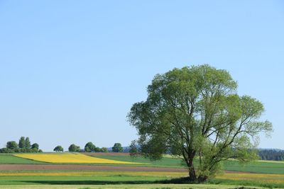 IMG_3438.JPG