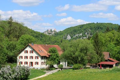 IMG_3463.JPG