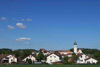 IMG_3479.JPG