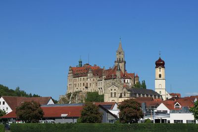 IMG_3481.JPG