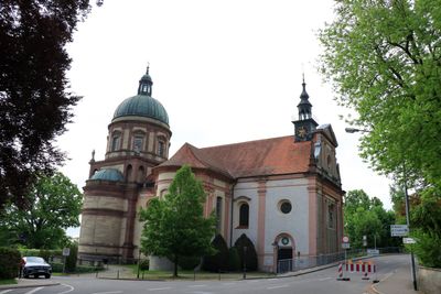 IMG_3485.JPG