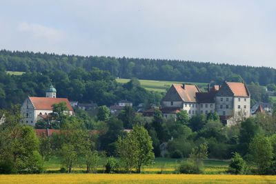 IMG_3491.JPG