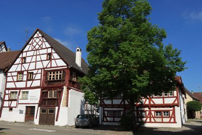 IMG_3494.JPG