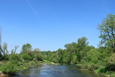 IMG_3501.JPG
