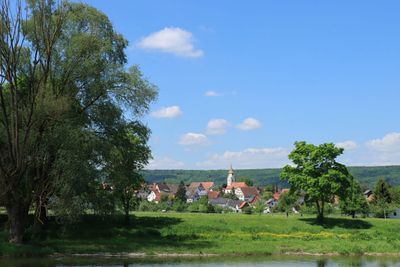 IMG_3508.JPG