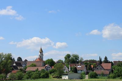 IMG_3511.JPG