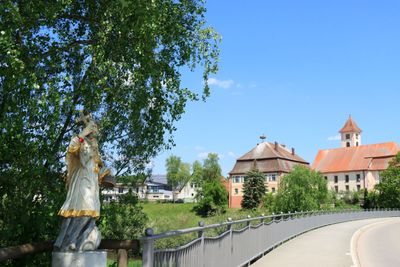 IMG_3513.JPG